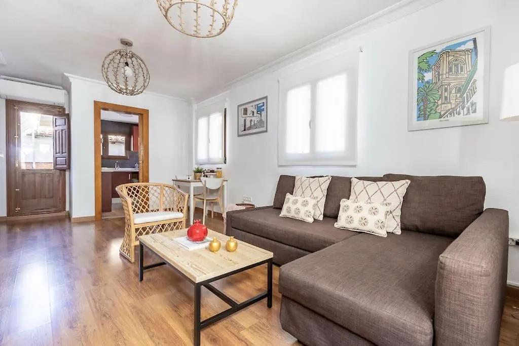 Apartamento Con Terraza A 4 Minutos De La Catedral Granada