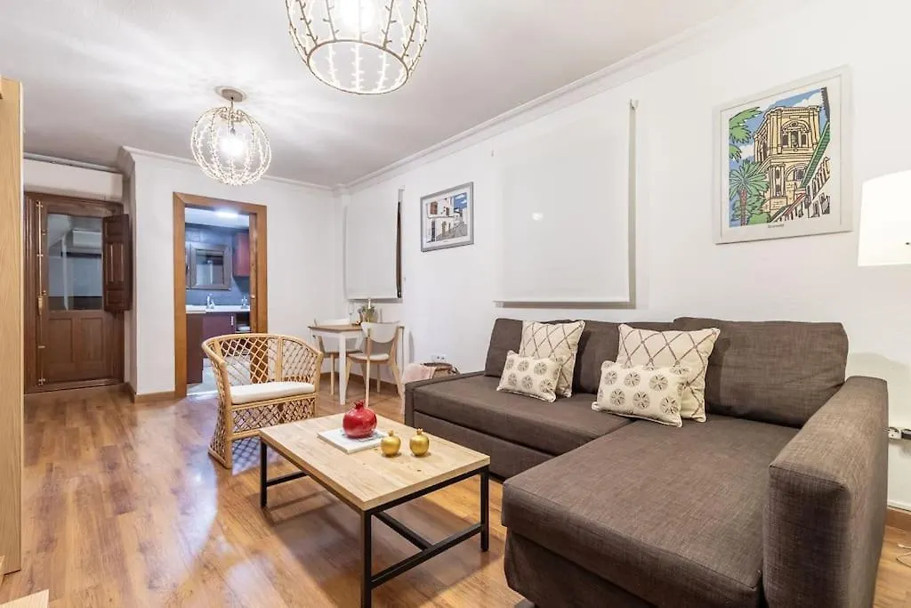 Apartamento Con Terraza A 4 Minutos De La Catedral Granada Apartment